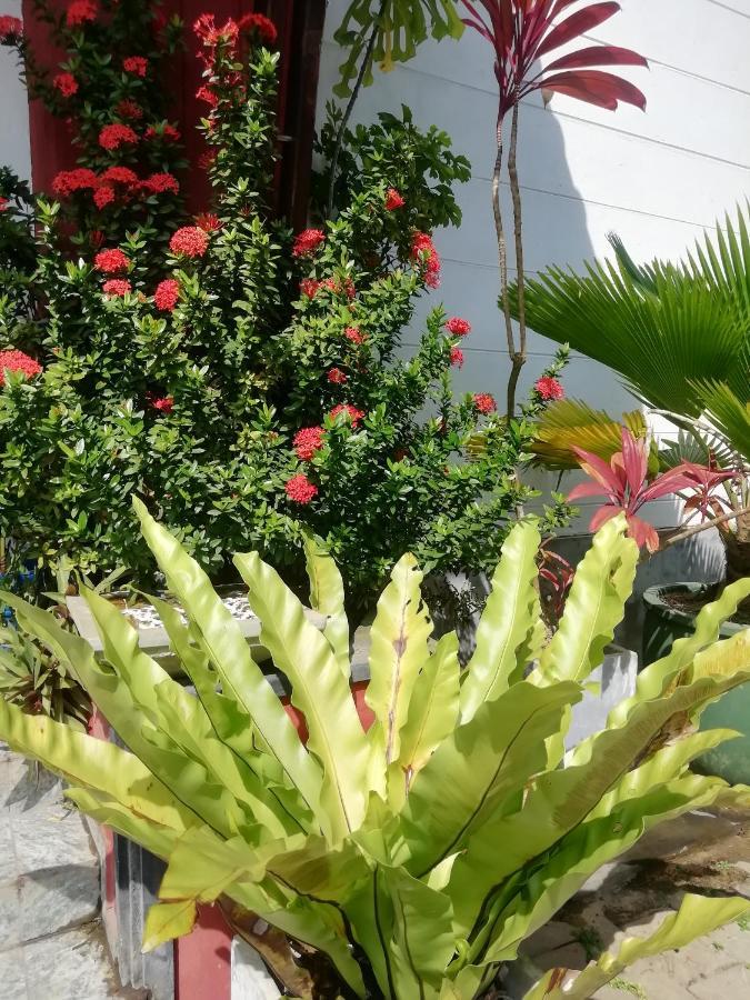 Rainbow Beach Hotel Hikkaduwa Εξωτερικό φωτογραφία